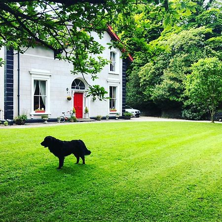 Fountain Hill House Villa Лъндъндери Екстериор снимка