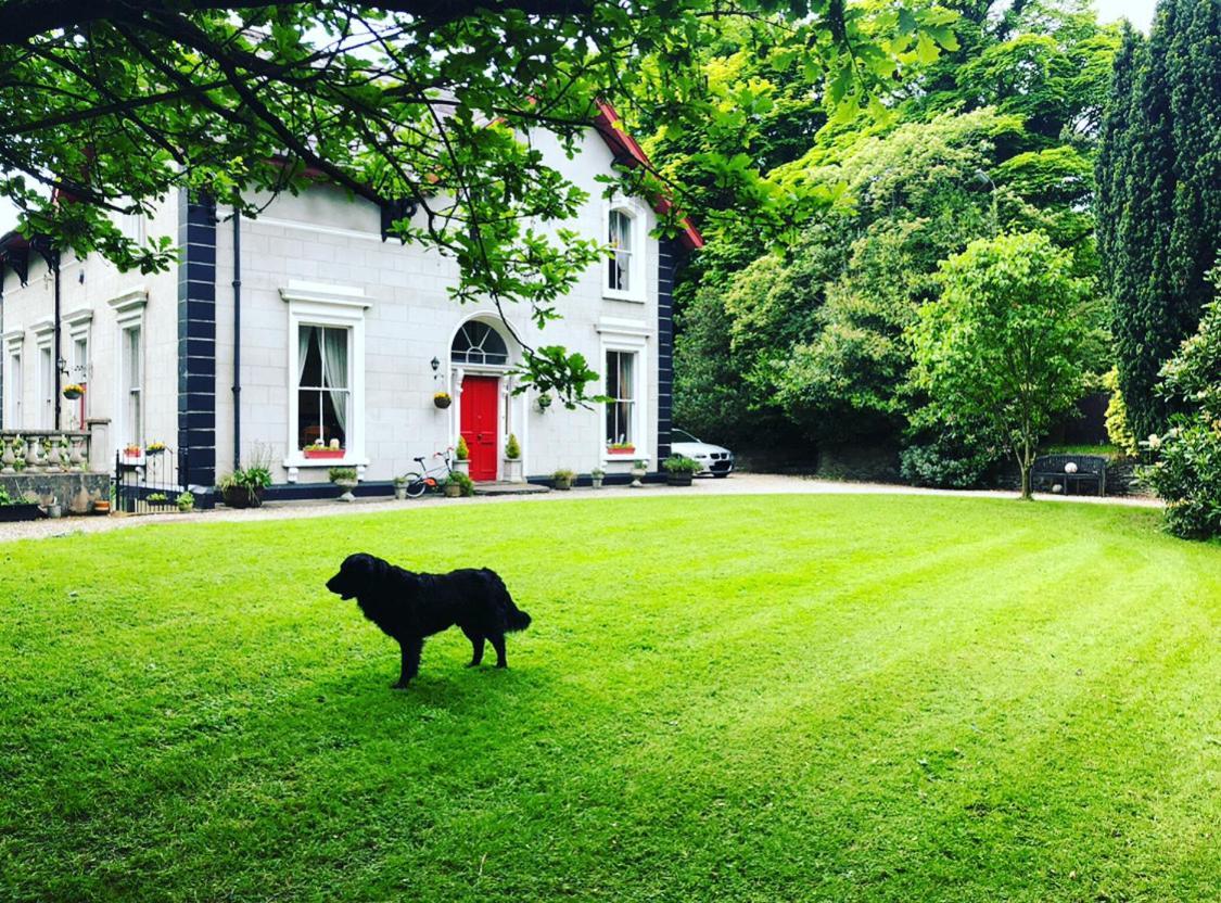 Fountain Hill House Villa Лъндъндери Екстериор снимка